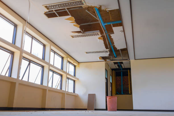 Best Water damage contractors near me  in Rossmoor, NJ