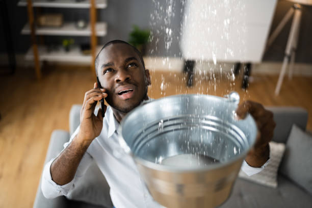 Best Mold removal after water damage  in Rossmoor, NJ