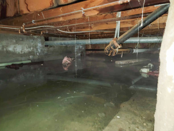 Best 24-hour water damage restoration  in Rossmoor, NJ