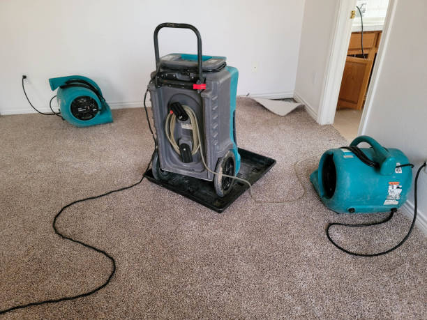 Best Water damage restoration specialists  in Rossmoor, NJ