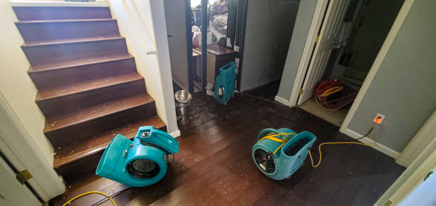 Best Residential water damage restoration  in Rossmoor, NJ