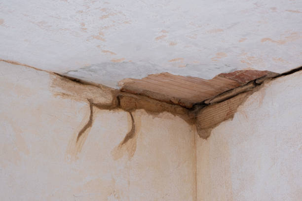 Best Basement water damage restoration  in Rossmoor, NJ