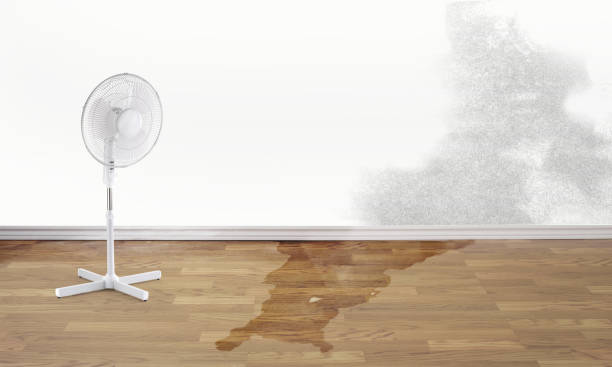 Best Flood damage cleanup  in Rossmoor, NJ