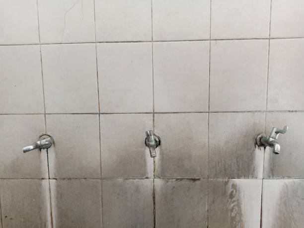 Best Commercial water damage restoration  in Rossmoor, NJ