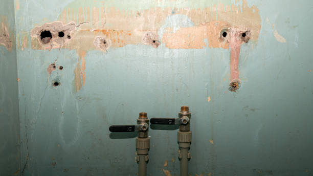 Best Flooded house restoration  in Rossmoor, NJ