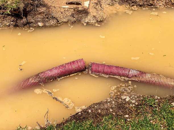 Best Sewage cleanup and water damage restoration  in Rossmoor, NJ