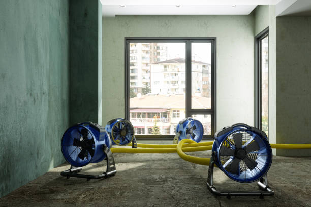 Best 24/7 water damage repair  in Rossmoor, NJ